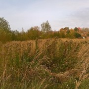 Teren na park